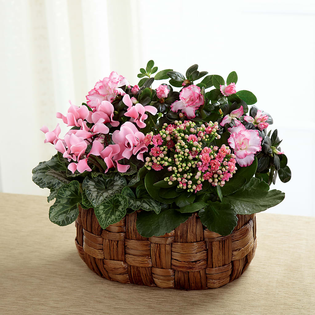 Pink Assortment – Flowers And Decor Same Day, Vero Beach FL
