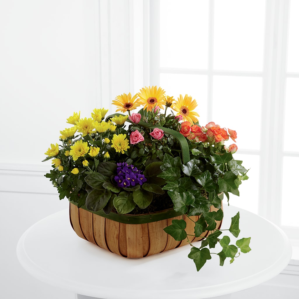 Gentle Blossoms Basket – Flowers And Decor Same Day, Vero Beach FL