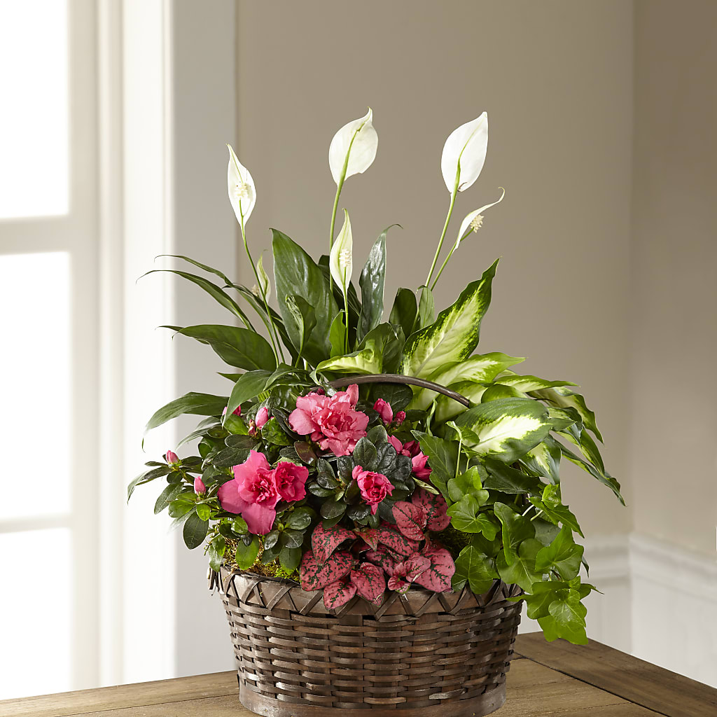 Dream in Pink Dishgarden – Flowers And Decor Same Day, Vero Beach FL
