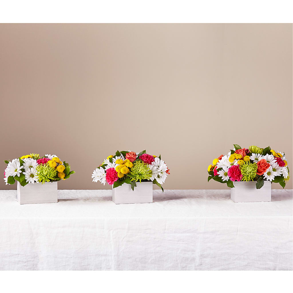 Sorbet Bouquet – Flowers And Decor Same Day, Vero Beach FL