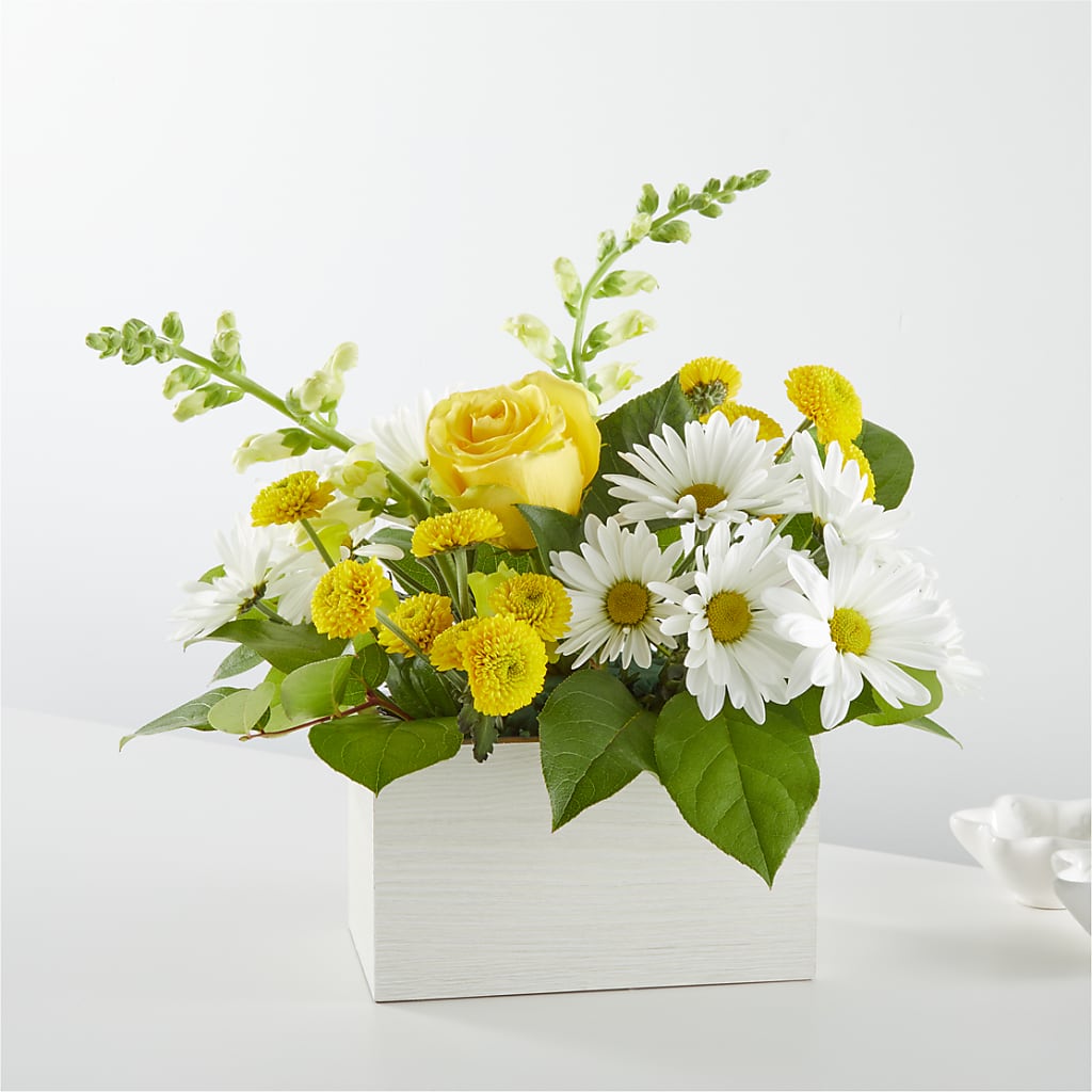 Sun Salutation Box Bouquet – Flowers And Decor Same Day, Vero Beach FL