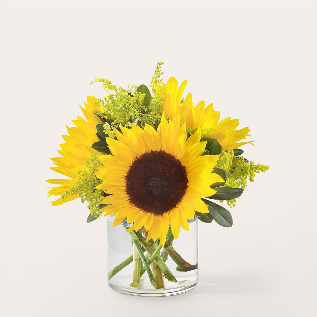 Beaming Sunflower Bouquet – Flowers And Decor Same Day, Vero Beach FL