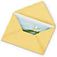 Greeting Card – Flowers And Decor Same Day, Vero Beach FL