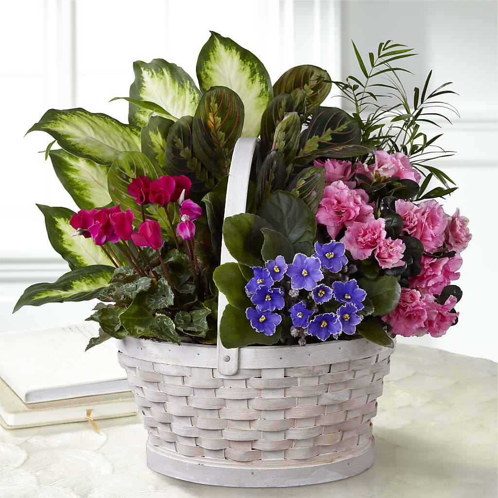 Peaceful Garden Planter – Flowers And Decor Same Day, Vero Beach FL