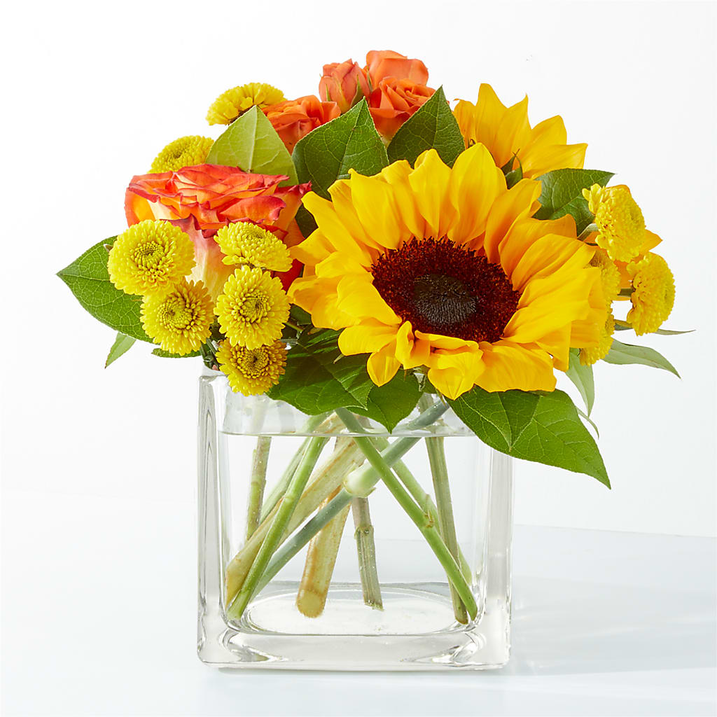 Picnic in the Park Bouquet – Flowers And Decor Same Day, Vero Beach FL