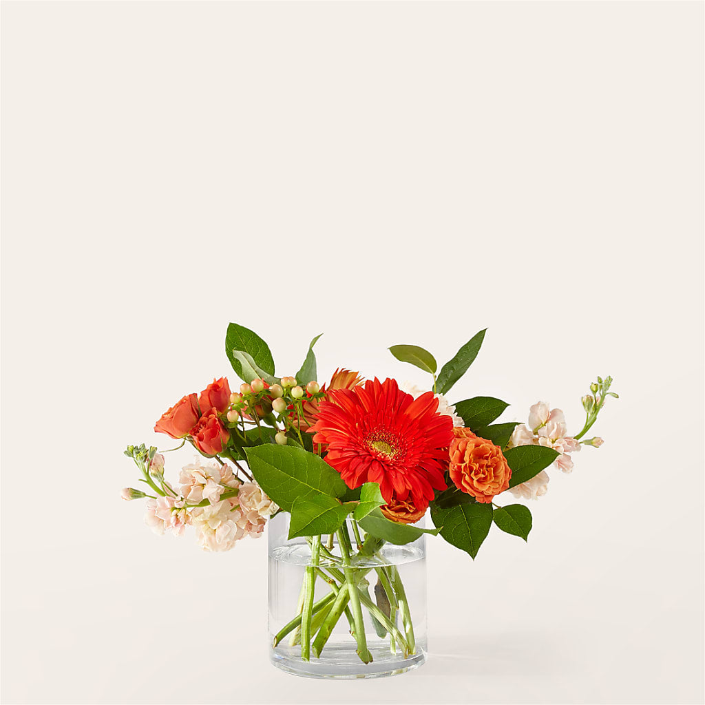 Paloma Please Bouquet – Flowers And Decor Same Day, Vero Beach FL