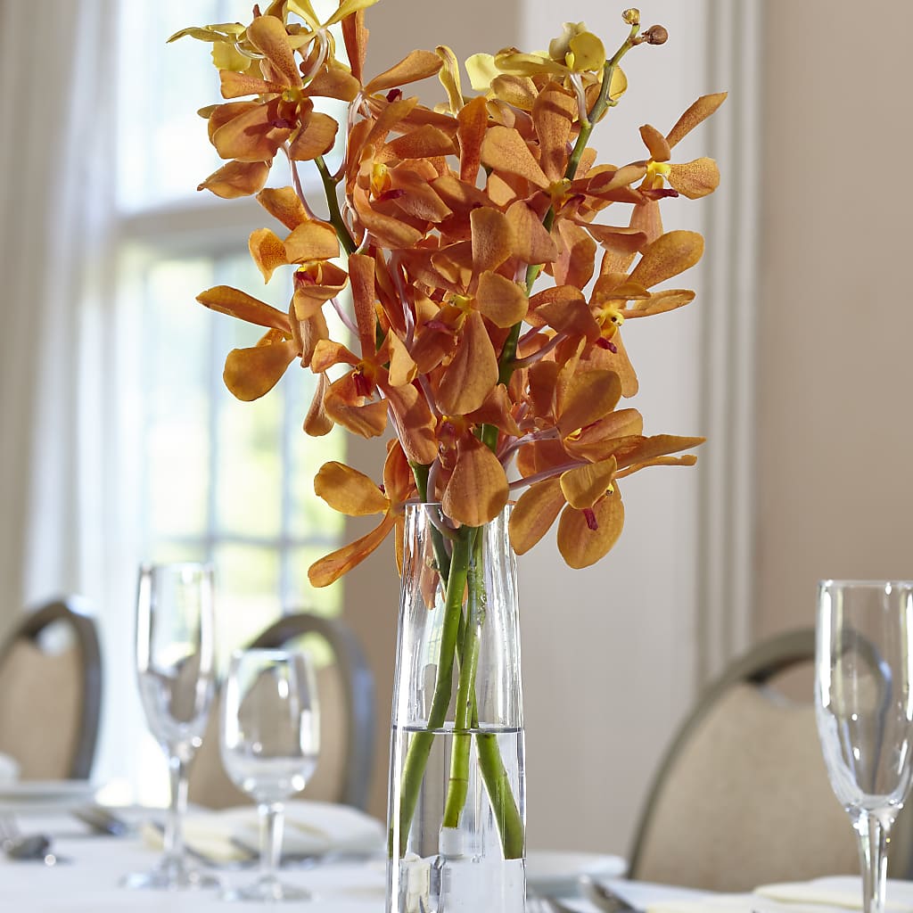 Orange Mokara Bud Vase – Flowers And Decor Same Day, Vero Beach FL
