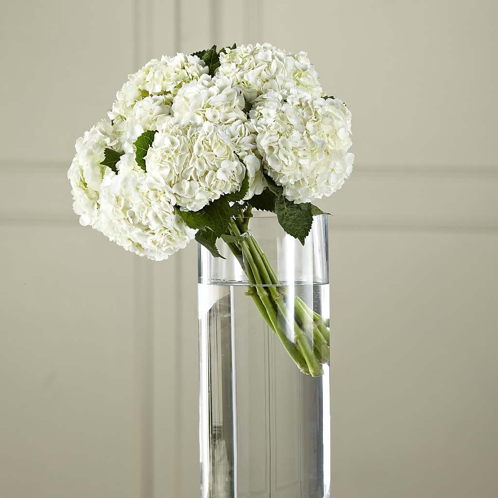 White Hydrangea Hand-Tied Bouquet – Flowers And Decor Same Day, Vero Beach FL