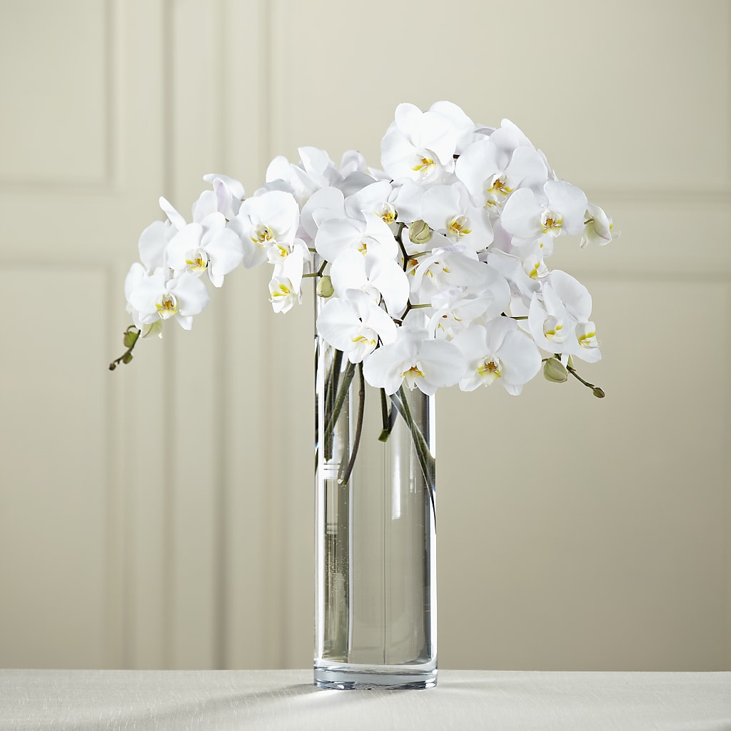 White Phalaenopsis Bouquet – Flowers And Decor Same Day, Vero Beach FL