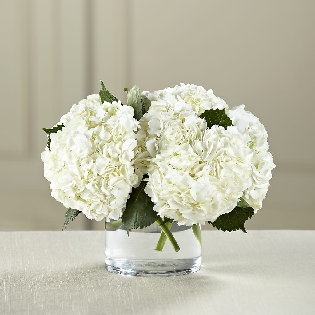 White Hydrangea Bouquet – Flowers And Decor Same Day, Vero Beach FL