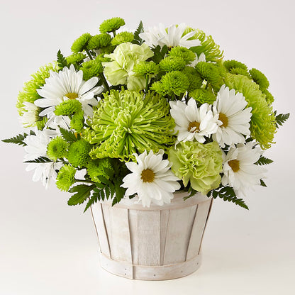 Lucky Charm Basket (Standard) –  Flowers And Decor Same Day, Vero Beach FL