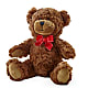 Adorable Plush Bear –  Flowers And Decor Same Day, Vero Beach FL