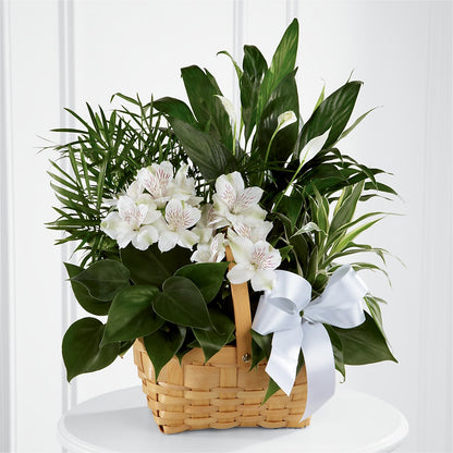 Peace & Serenity Dishgarden –  Flowers And Decor Same Day, Vero Beach FL