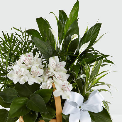 Peace & Serenity Dishgarden –  Flowers And Decor Same Day, Vero Beach FL