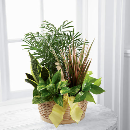 French Garden –  Flowers And Decor Same Day, Vero Beach FL