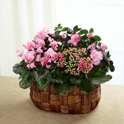 Pink Assortment –  Flowers And Decor Same Day, Vero Beach FL
