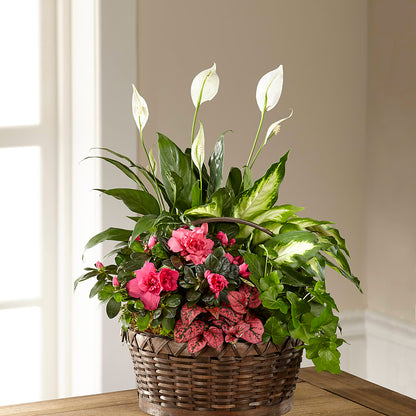 Dream in Pink Dishgarden –  Flowers And Decor Same Day, Vero Beach FL
