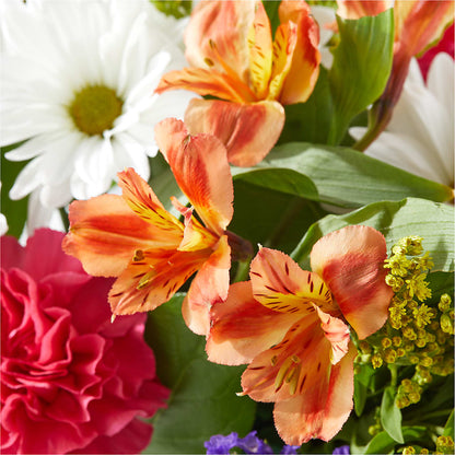Oopsie Daisy Box Bouquet –  Flowers And Decor Same Day, Vero Beach FL
