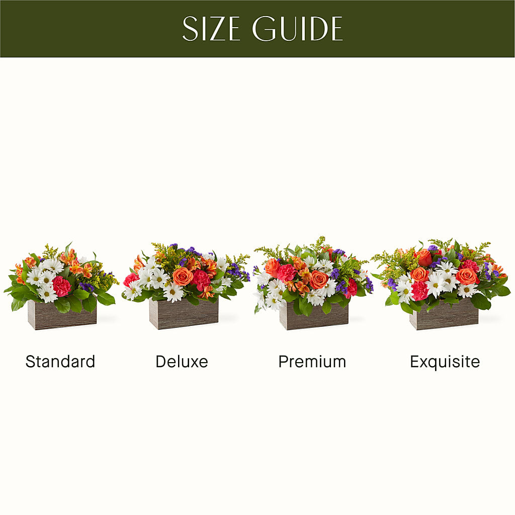 Oopsie Daisy Box Bouquet –  Flowers And Decor Same Day, Vero Beach FL