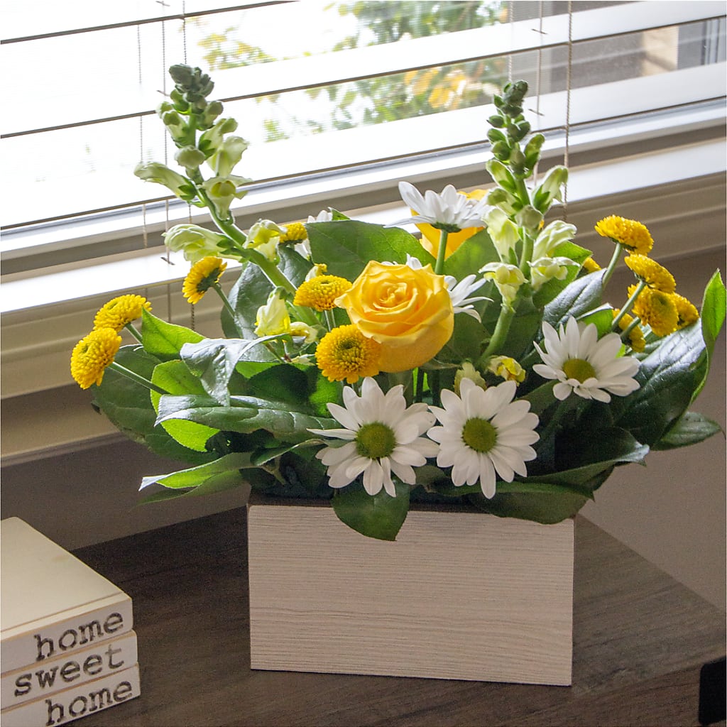 Sun Salutation Box Bouquet –  Flowers And Decor Same Day, Vero Beach FL