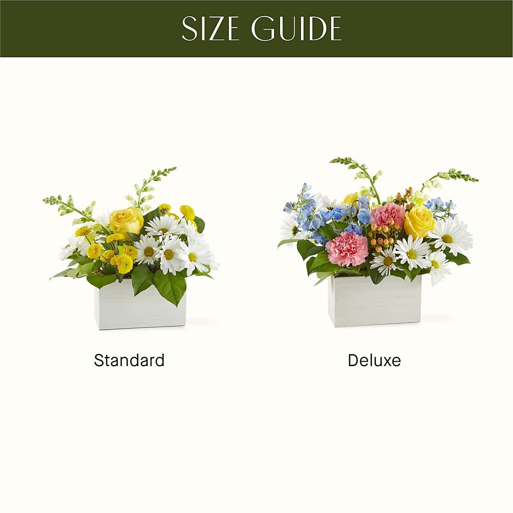Sun Salutation Box Bouquet –  Flowers And Decor Same Day, Vero Beach FL