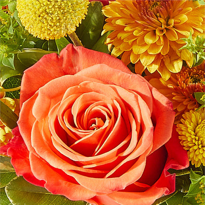 Gourdgeous Pumpkin –  Flowers And Decor Same Day, Vero Beach FL