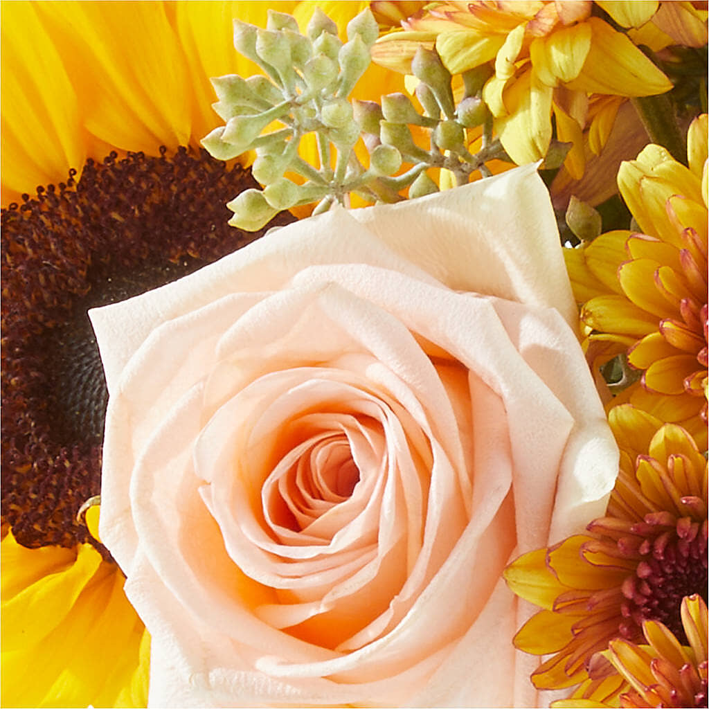 Pumpkin to Talk About Bouquet –  Flowers And Decor Same Day, Vero Beach FL