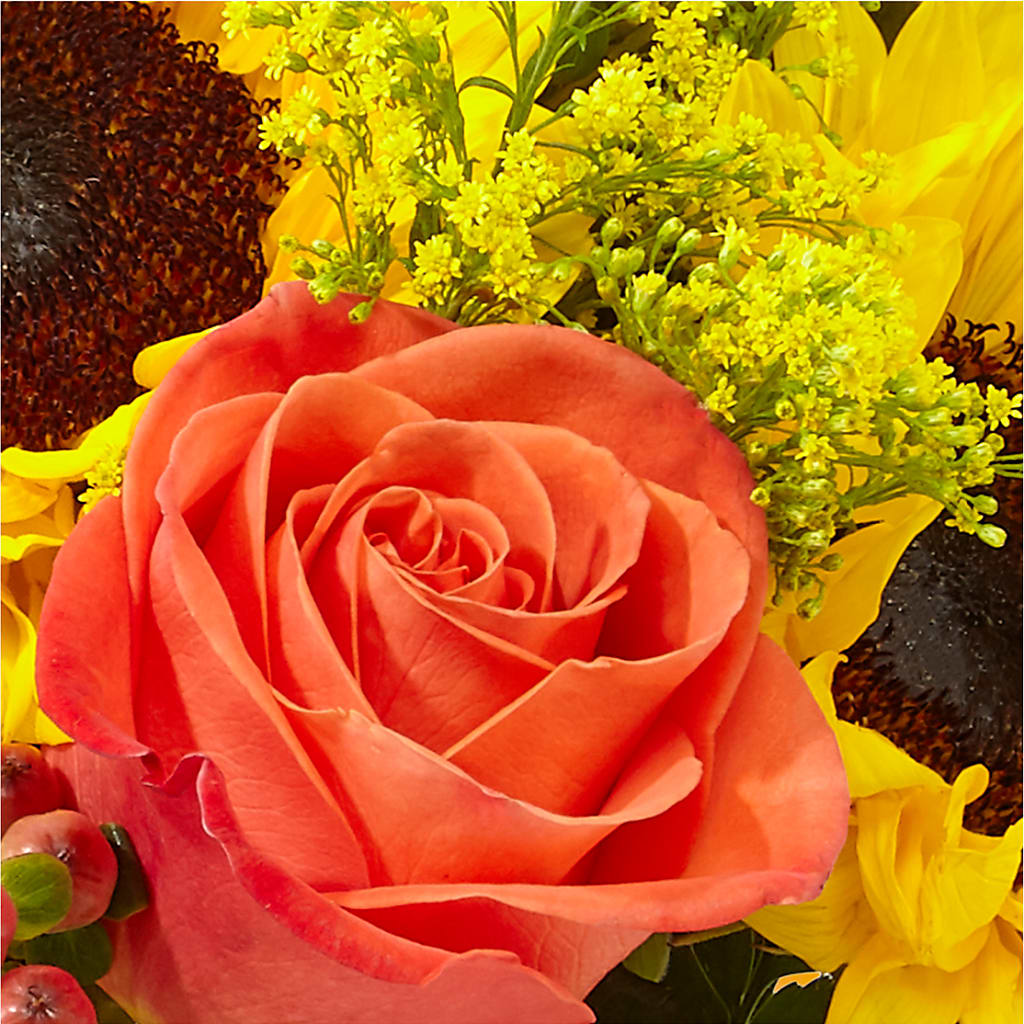 Pick of the Patch Pumpkin Bouquet –  Flowers And Decor Same Day, Vero Beach FL