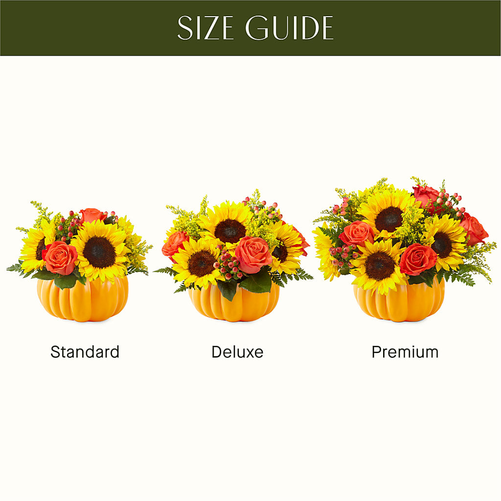Pick of the Patch Pumpkin Bouquet –  Flowers And Decor Same Day, Vero Beach FL