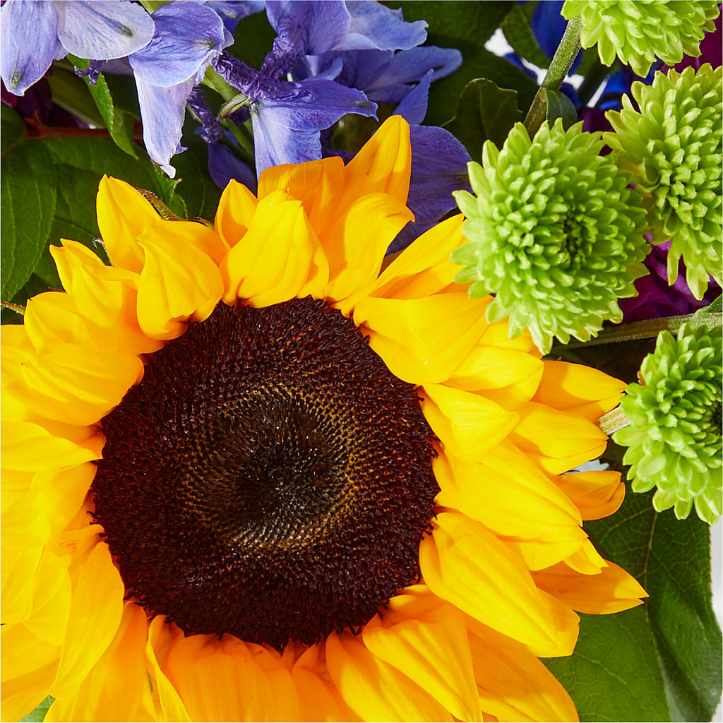 Catching Rays Bouquet –  Flowers And Decor Same Day, Vero Beach FL