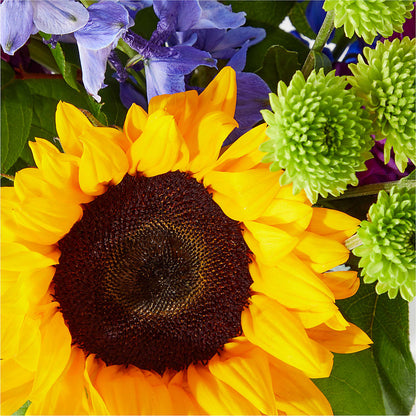 Catching Rays Bouquet –  Flowers And Decor Same Day, Vero Beach FL