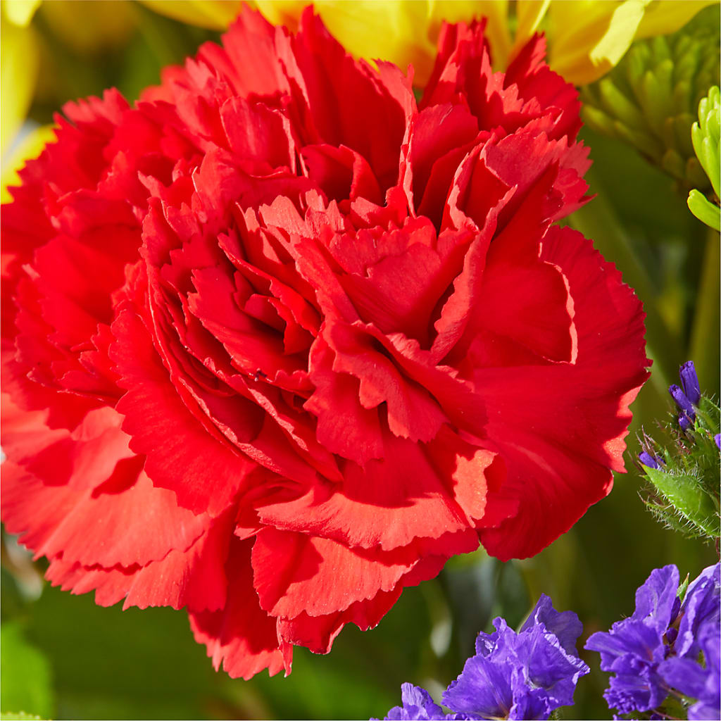Brighter Days Bouquet –  Flowers And Decor Same Day, Vero Beach FL