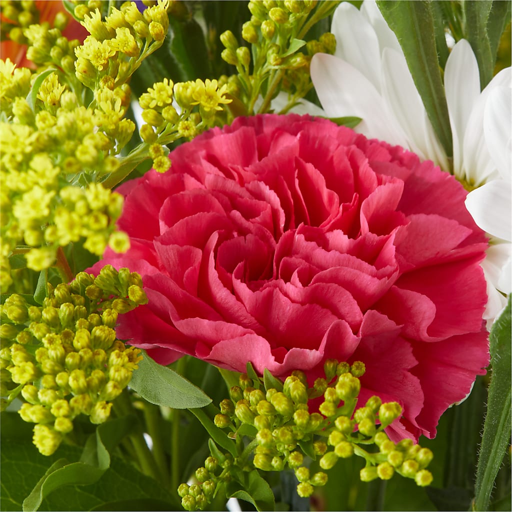 Oopsie Daisy Bouquet –  Flowers And Decor Same Day, Vero Beach FL