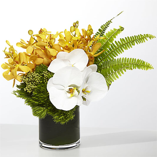 The Tropics –  Flowers And Decor Same Day, Vero Beach FL