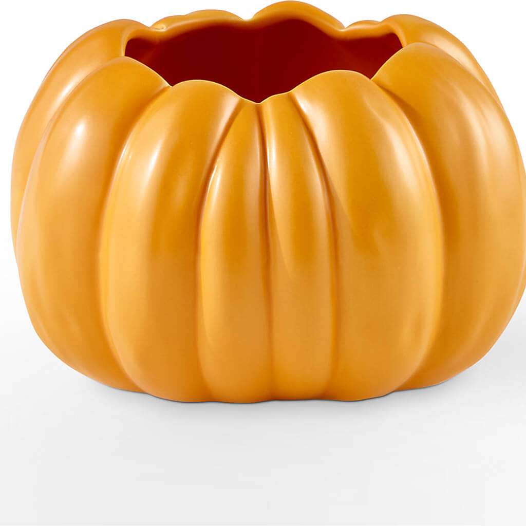 Golden Gourd Pumpkin Bouquet –  Flowers And Decor Same Day, Vero Beach FL