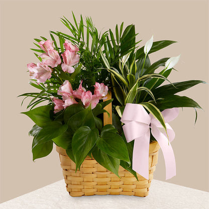 Living Spirit Dishgarden –  Flowers And Decor Same Day, Vero Beach FL