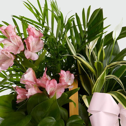Living Spirit Dishgarden –  Flowers And Decor Same Day, Vero Beach FL