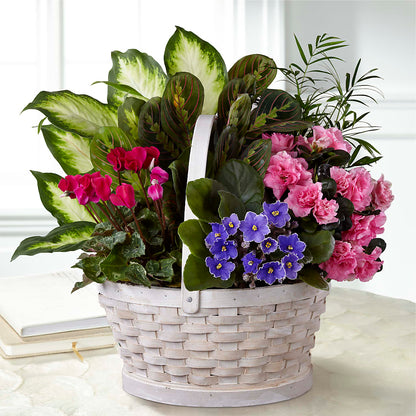 Peaceful Garden Planter –  Flowers And Decor Same Day, Vero Beach FL