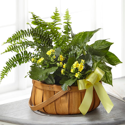 Always Dear Dishgarden –  Flowers And Decor Same Day, Vero Beach FL