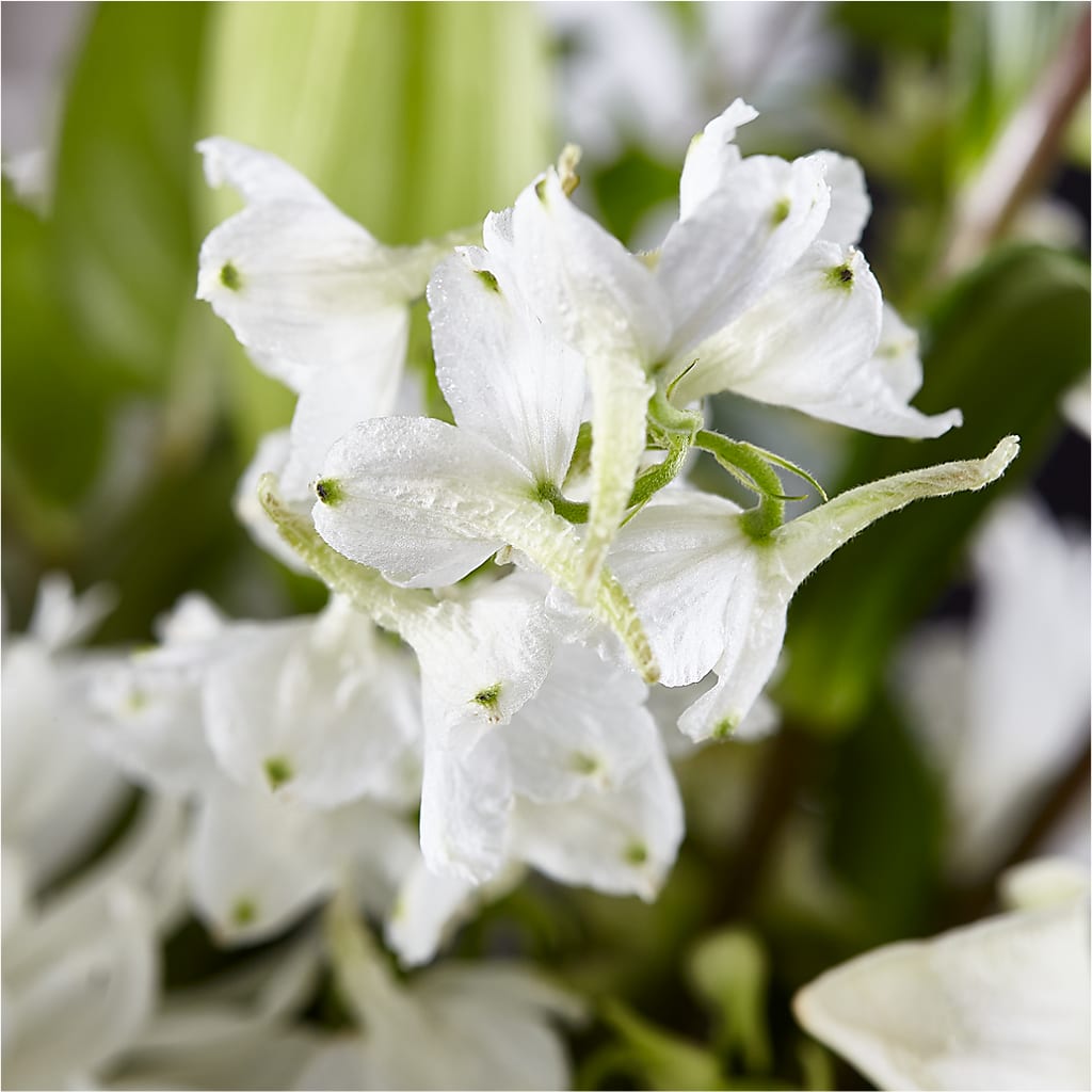 Classic Ivory – A Florist Original –  Flowers And Decor Same Day, Vero Beach FL
