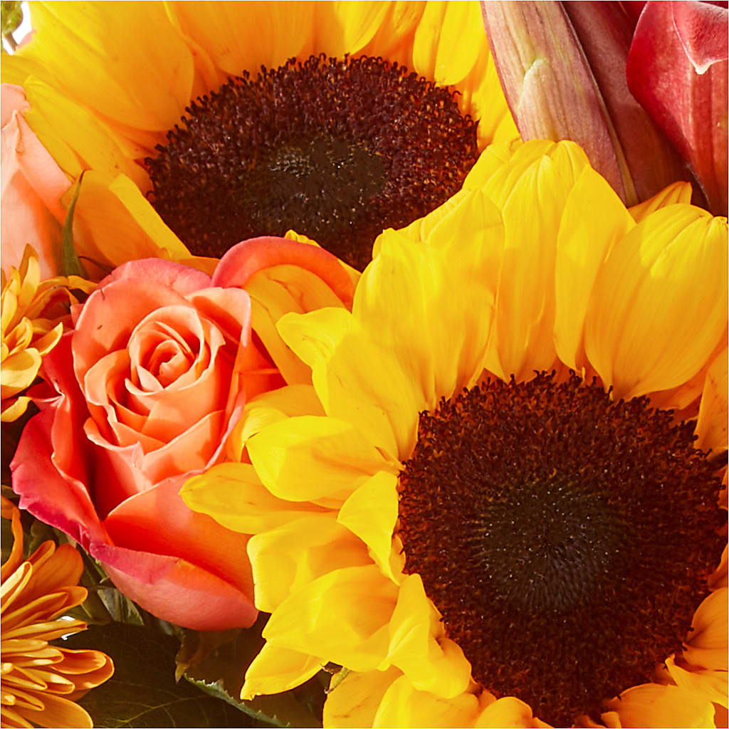 Acorn Lane Bouquet –  Flowers And Decor Same Day, Vero Beach FL