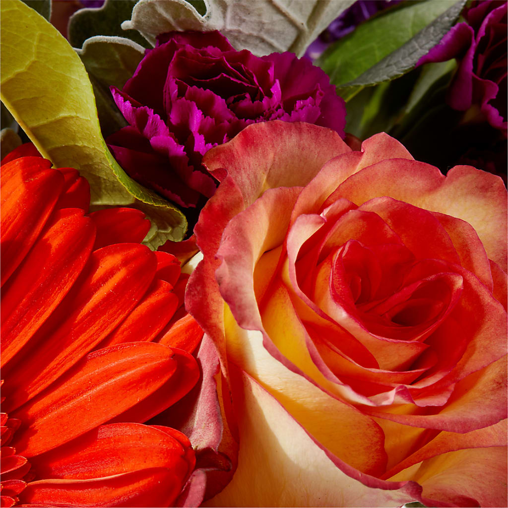 Sangria Bouquet –  Flowers And Decor Same Day, Vero Beach FL