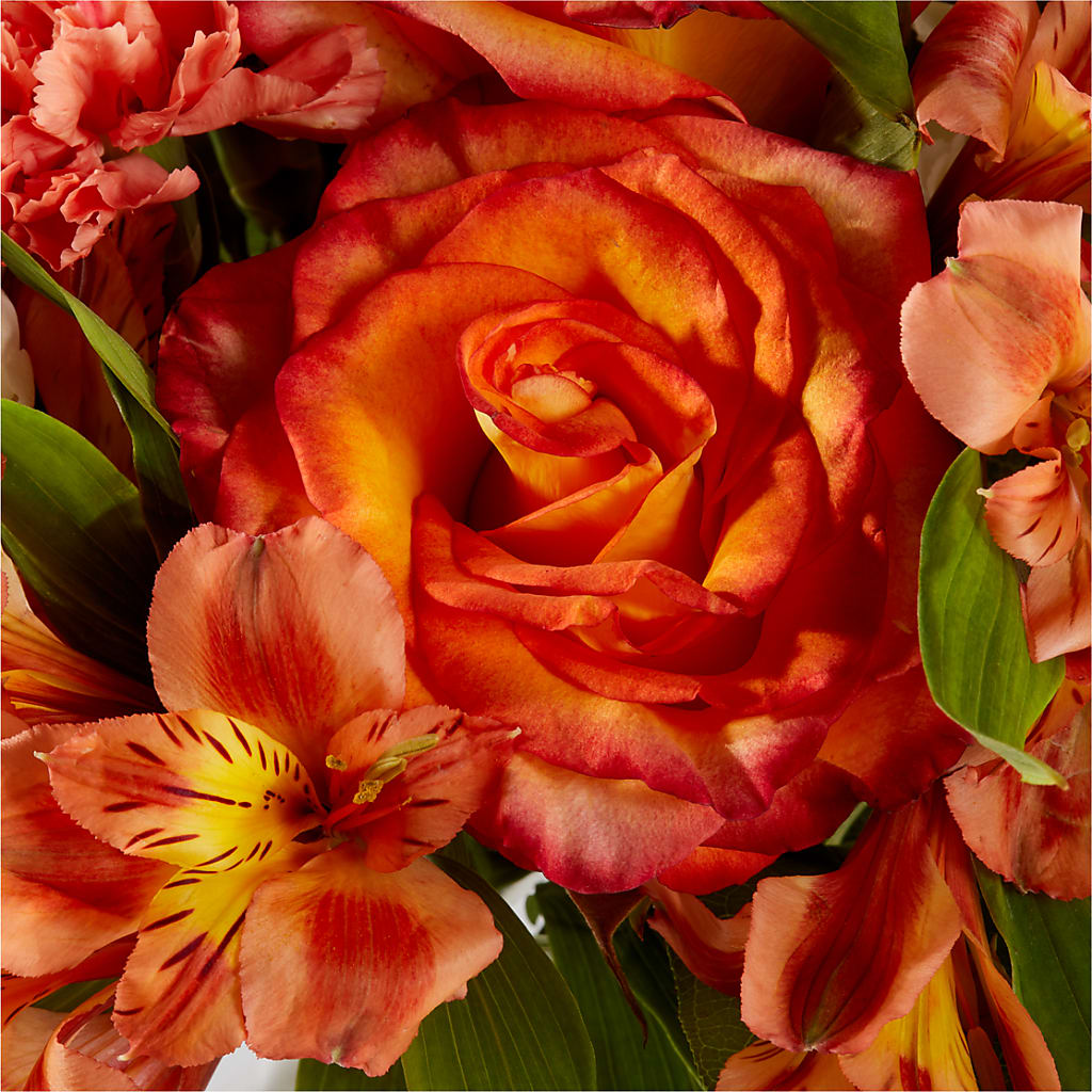Apricot Glow Bouquet –  Flowers And Decor Same Day, Vero Beach FL