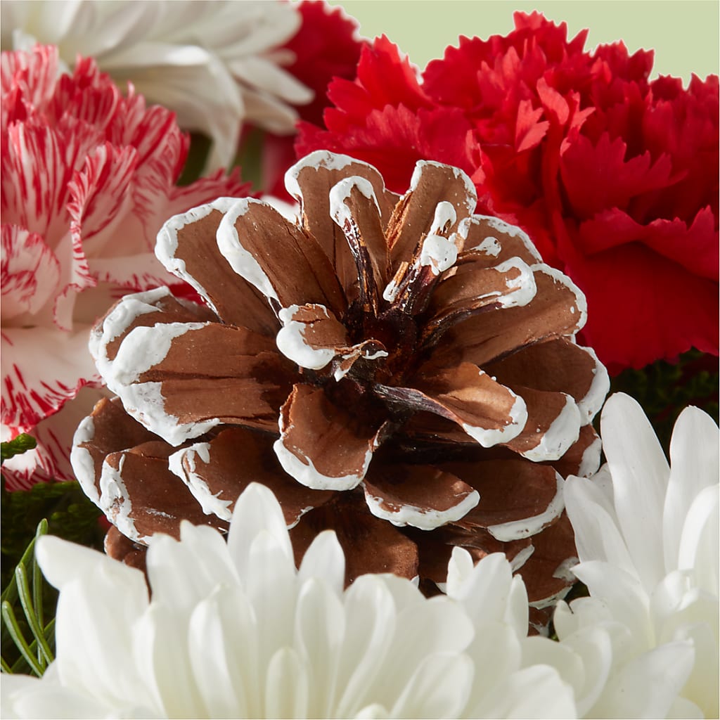 Candy Cane Lane Bouquet –  Flowers And Decor Same Day, Vero Beach FL