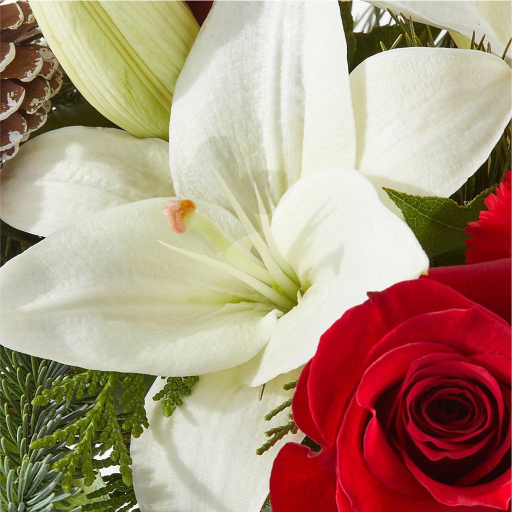 Oh So Jolly Bouquet –  Flowers And Decor Same Day, Vero Beach FL