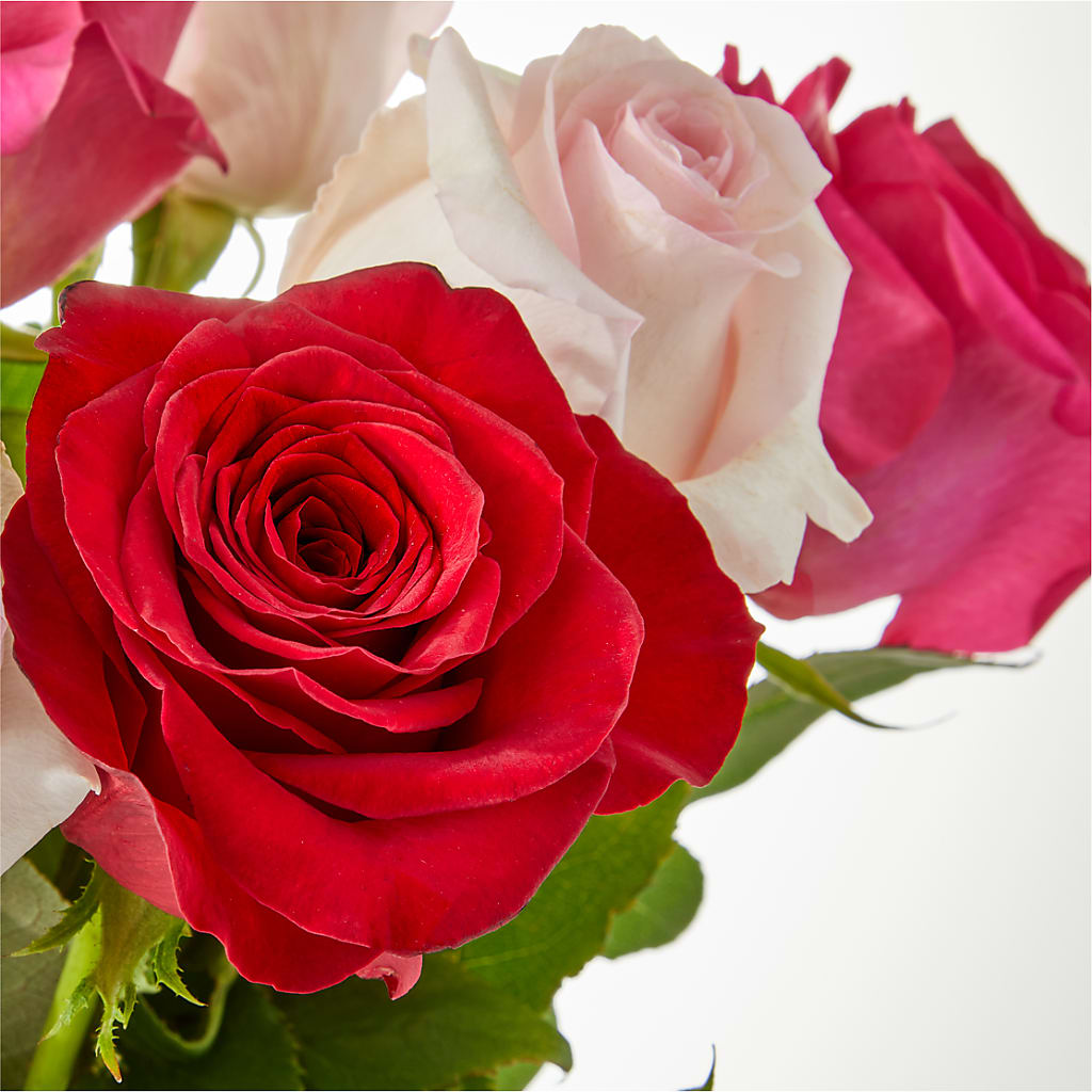 Charming Rose Bouquet –  Flowers And Decor Same Day, Vero Beach FL