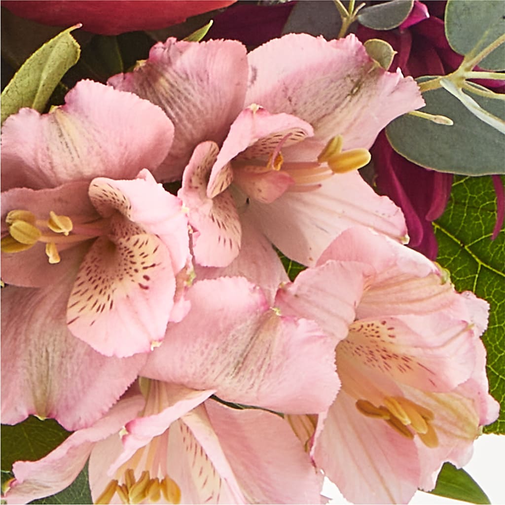 Berry Cobbler Bouquet –  Flowers And Decor Same Day, Vero Beach FL