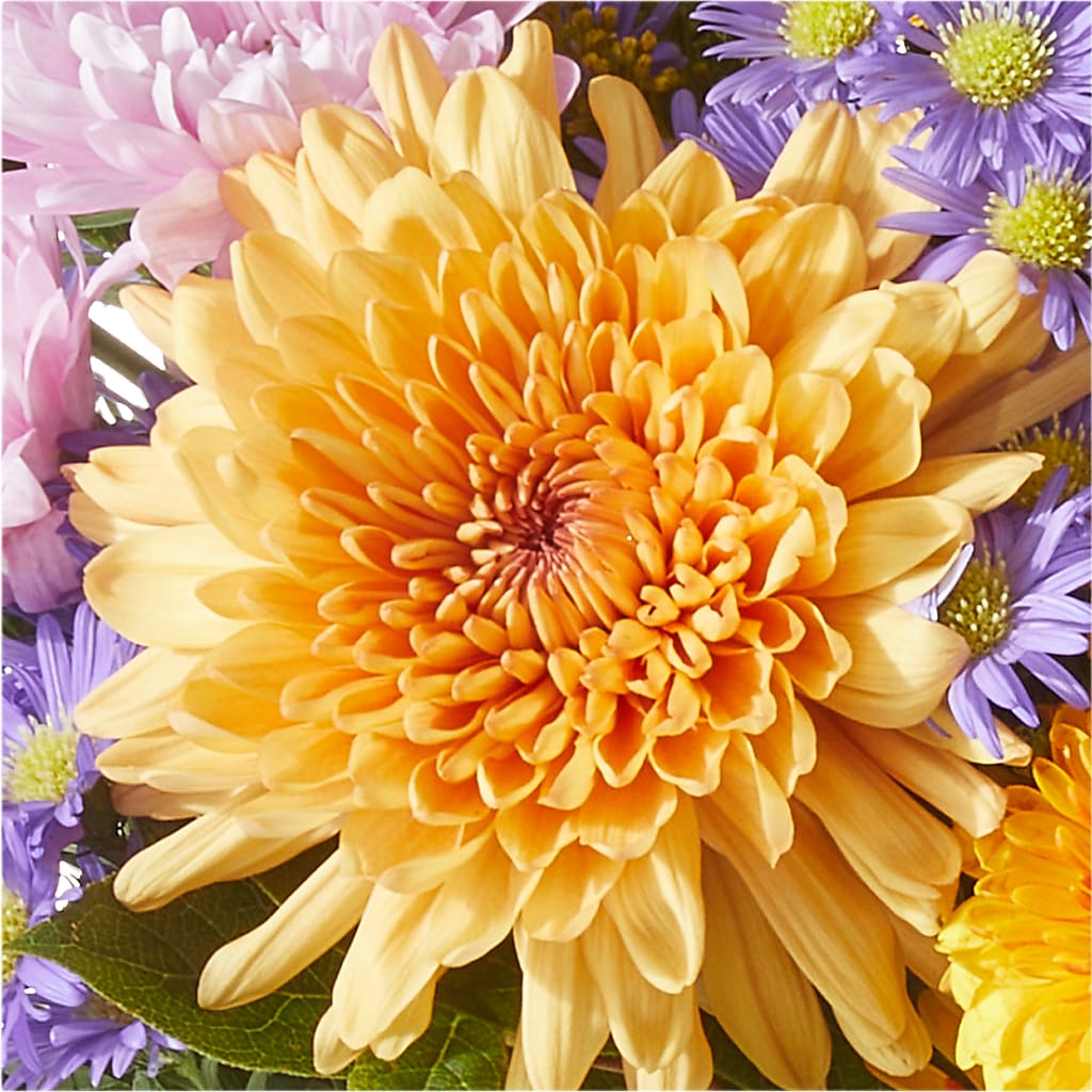 Countryside Bouquet –  Flowers And Decor Same Day, Vero Beach FL