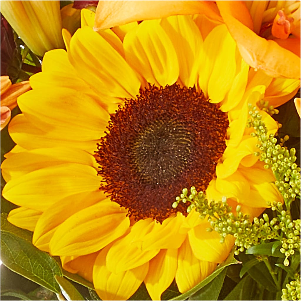 Seasons Change Bouquet –  Flowers And Decor Same Day, Vero Beach FL
