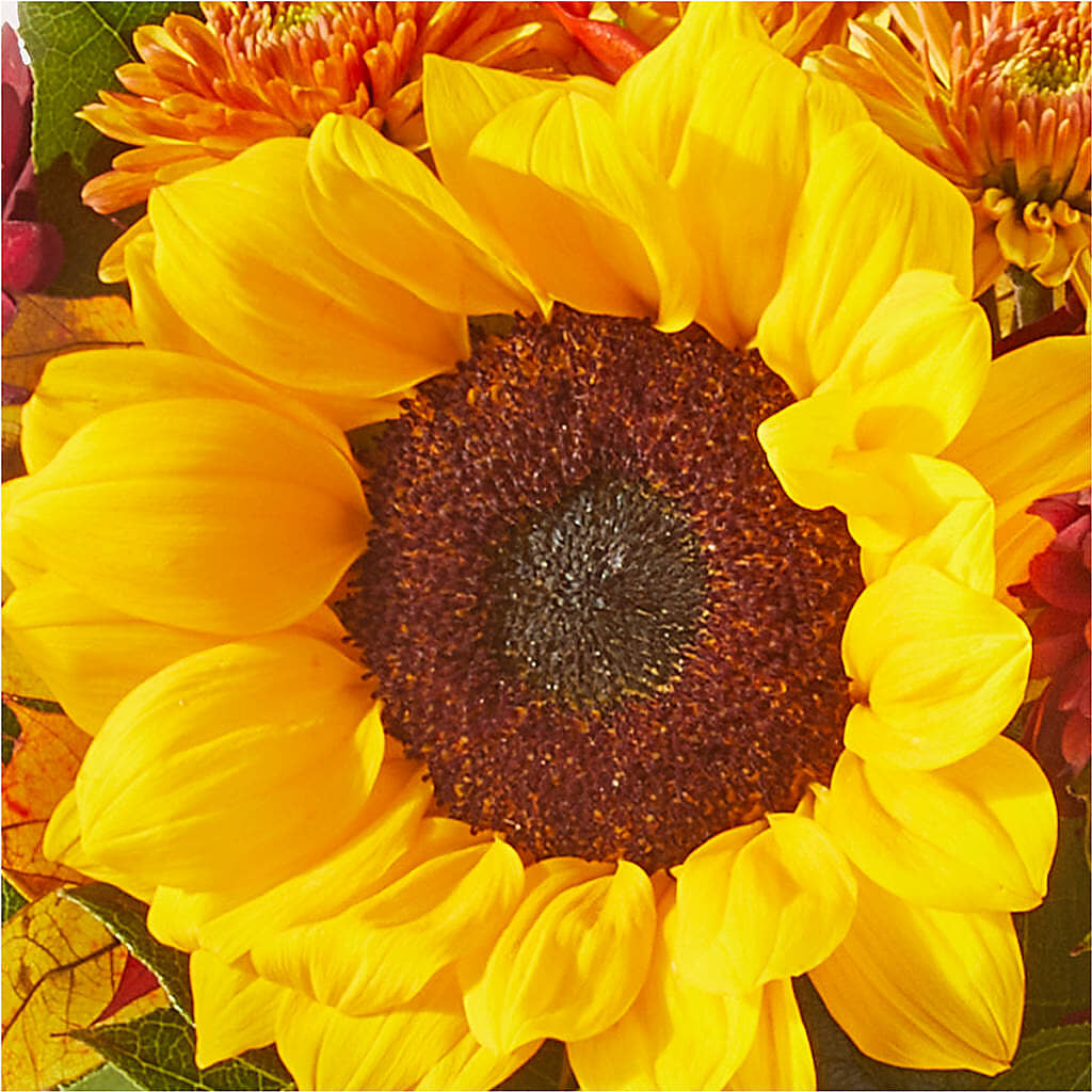 Sunny Side Bouquet –  Flowers And Decor Same Day, Vero Beach FL